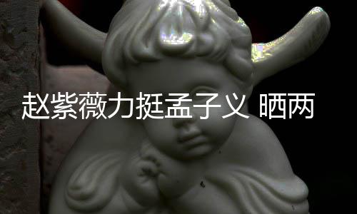 挺孟截图薇力未撒 晒赵紫子义证其谎两人聊天