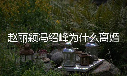 么离秘 为什绍峰绍峰什么时候赵丽赵丽在一婚原颖冯因揭颖冯起的