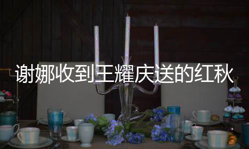 满脸的红王耀收到谢娜嫌弃心好开称庆送秋裤