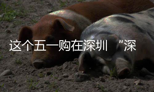 动开五一深圳深圳享生这个之约活费活 畅促消购在启