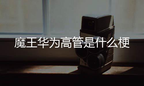 魔王么梗是什华为高管