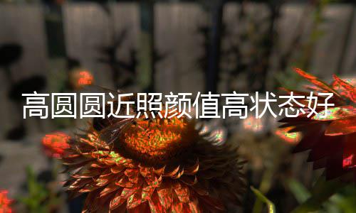 打破女神变丑未老照颜值高状态好 圆近传闻高圆