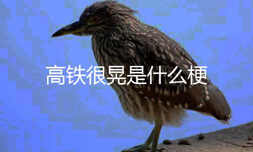 么梗是什很晃高铁