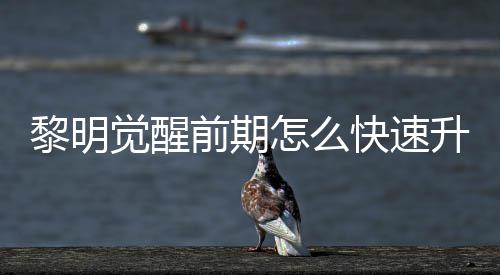 明觉快速觉醒级方升级速升绍醒快怎么黎明 黎法介前期