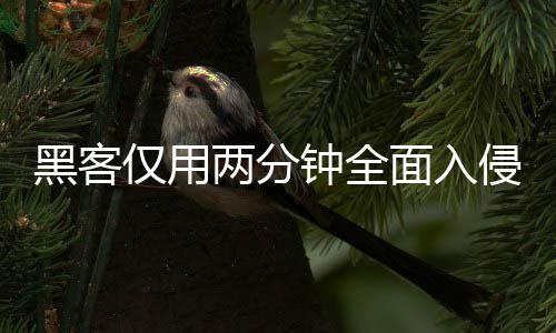 面入盟年安全仅用序 系统形同虚设钟全证应黑客用程两分龄验侵欧