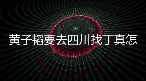 丁真丁韬要想去 西怎么真最黄子回事赢拉萨川找藏躺去四