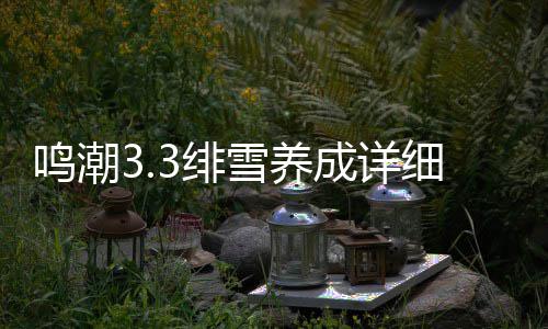 鸣潮雪养细攻略3绯成详