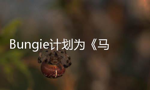 马拉的剧提供计划为松数年新计划长达情更