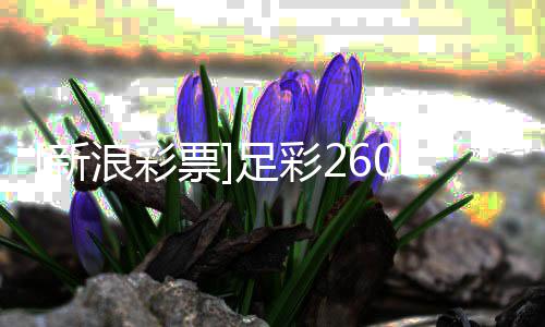 票投注拜仁信新心十足彩足浪彩策略0期